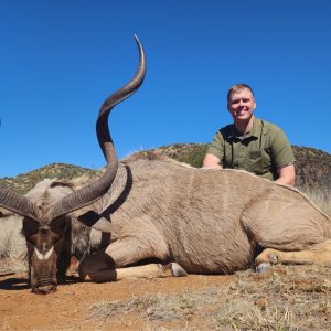 Kudu Hunt Free State South Africa