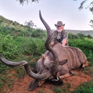 Kudu Hunt South Africa