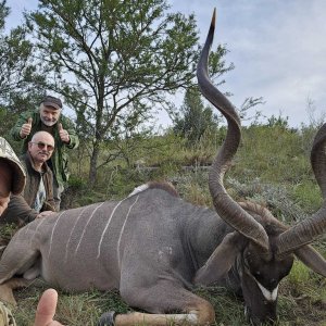 Kudu Hunt South Africa