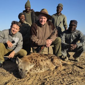 Spotted Hyena Hunt Zimbabwe