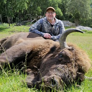 Wisent Hunt Sweden