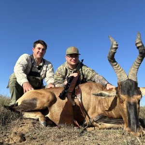 Hartebeest Hunt South Africa