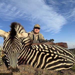 Zebra Hunt South Africa