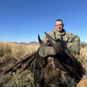 Blue Wildebeest Hunt South Africa