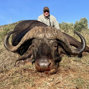 Buffalo Hunt South Africa