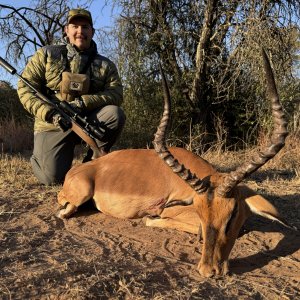 Impala Hunting South Africa