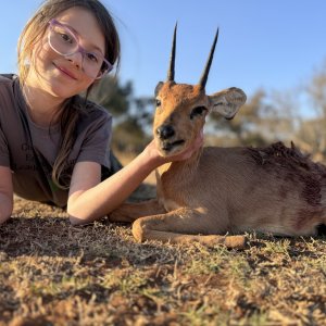 Steenbok Hunting South Africa