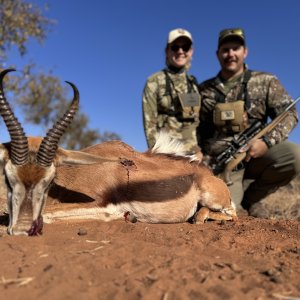 Springbok Hunting South Africa