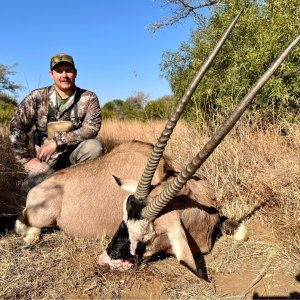 Gemsbok Hunting South Africa