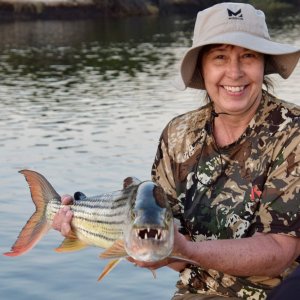 Fishing Tigerfish Namibia