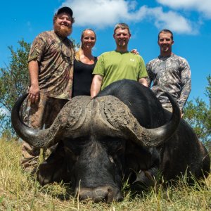 Buffalo Hunt South Africa