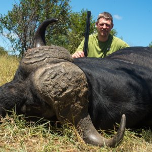 Buffalo Hunt South Africa