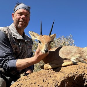 Steenbok Hunt South Africa