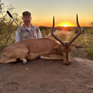 Impala Hunt South Africa