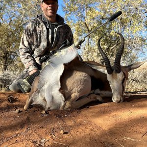 Springbok Hunt South Africa