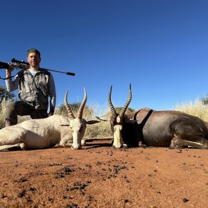 Blesbok Hunt South Africa