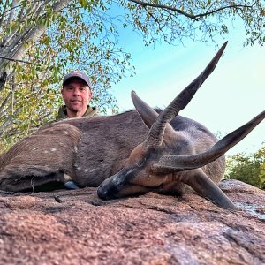 Bushbuck Hunt South Africa