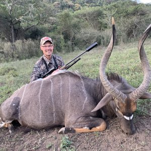 Nyala Hunt Eastern Cape South Africa