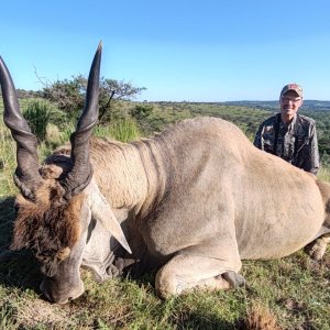 Eland Hunt Eastern Cape South Africa