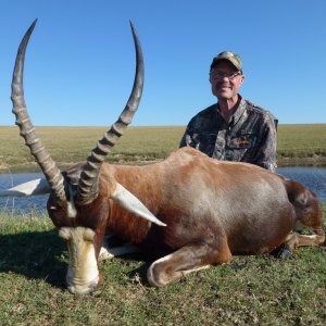 Blesbok Hunt Eastern Cape South Africa