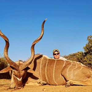 Old Kudu Bull North West Province South Africa