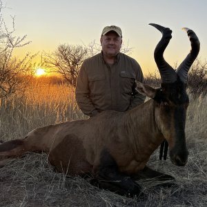 Red Hartebeest Hunt