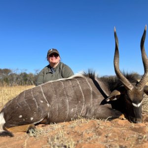 Nyala Hunting South Africa