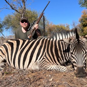 Zebra Hunting South Africa