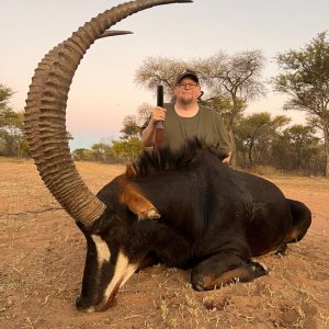 Sable Hunting South Africa