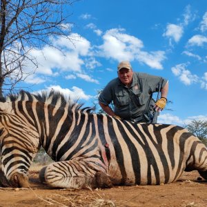 Zebra Hunt South Africa