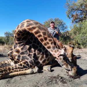 Giraffe Hunt South Africa