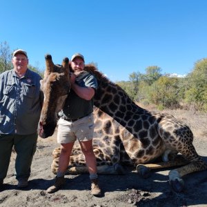 Giraffe Hunt South Africa