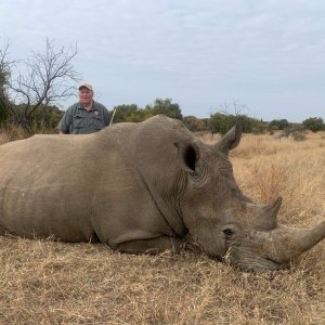 White Rhino Green Dart Hunt South Africa