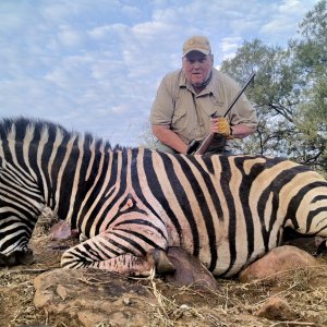 Zebra Hunt South Africa