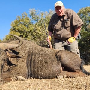 Blue Wildebeest Hunt South Africa