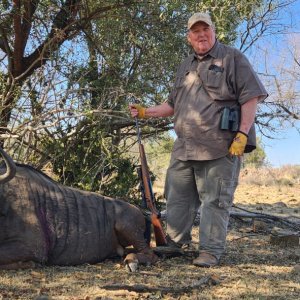 Blue Wildebeest Hunt South Africa