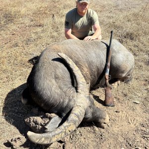 Water Buffalo Hunt Australia