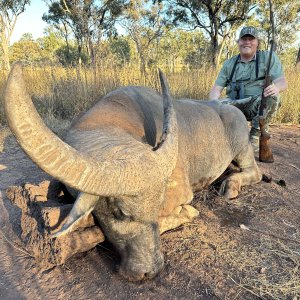 Water Buffalo Hunt Australia