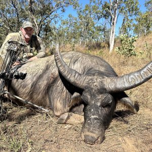 Water Buffalo Bow Hunt Australia