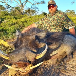 Warthog Hunting