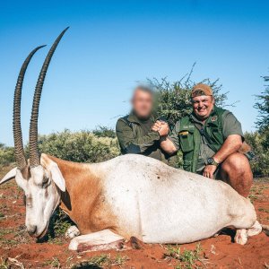 Scimitar Oryx Hunt South Africa