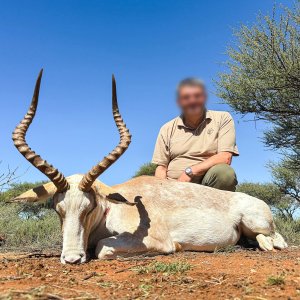 White Impala Hunt South Africa