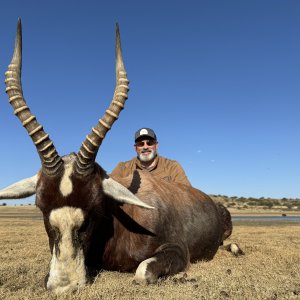 Blesbok Hunting