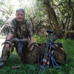 Ram Bow Hunting Argentina