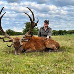 Red Stag Hunting Argentina