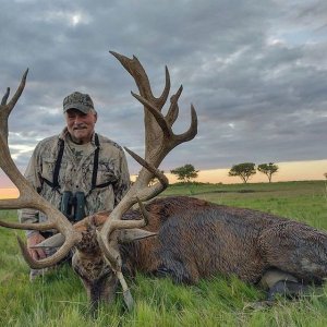 Red Stag Hunting Argentina