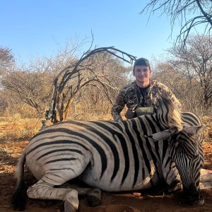 Zebra Hunt Namibia