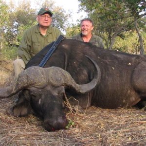 Buffalo Hunt Zimbabwe