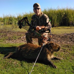 Capybara Hunt Argentina