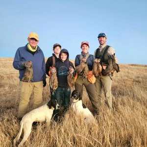 Upland bird hunting South Africa